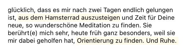 Feedback einer Klientin von Sung-Hi Leem: Mir ist es endlich gelungen aus dem hamsterrad auszusteigen